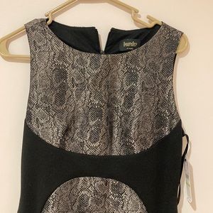 Evening wear dress- silver snake skin and black